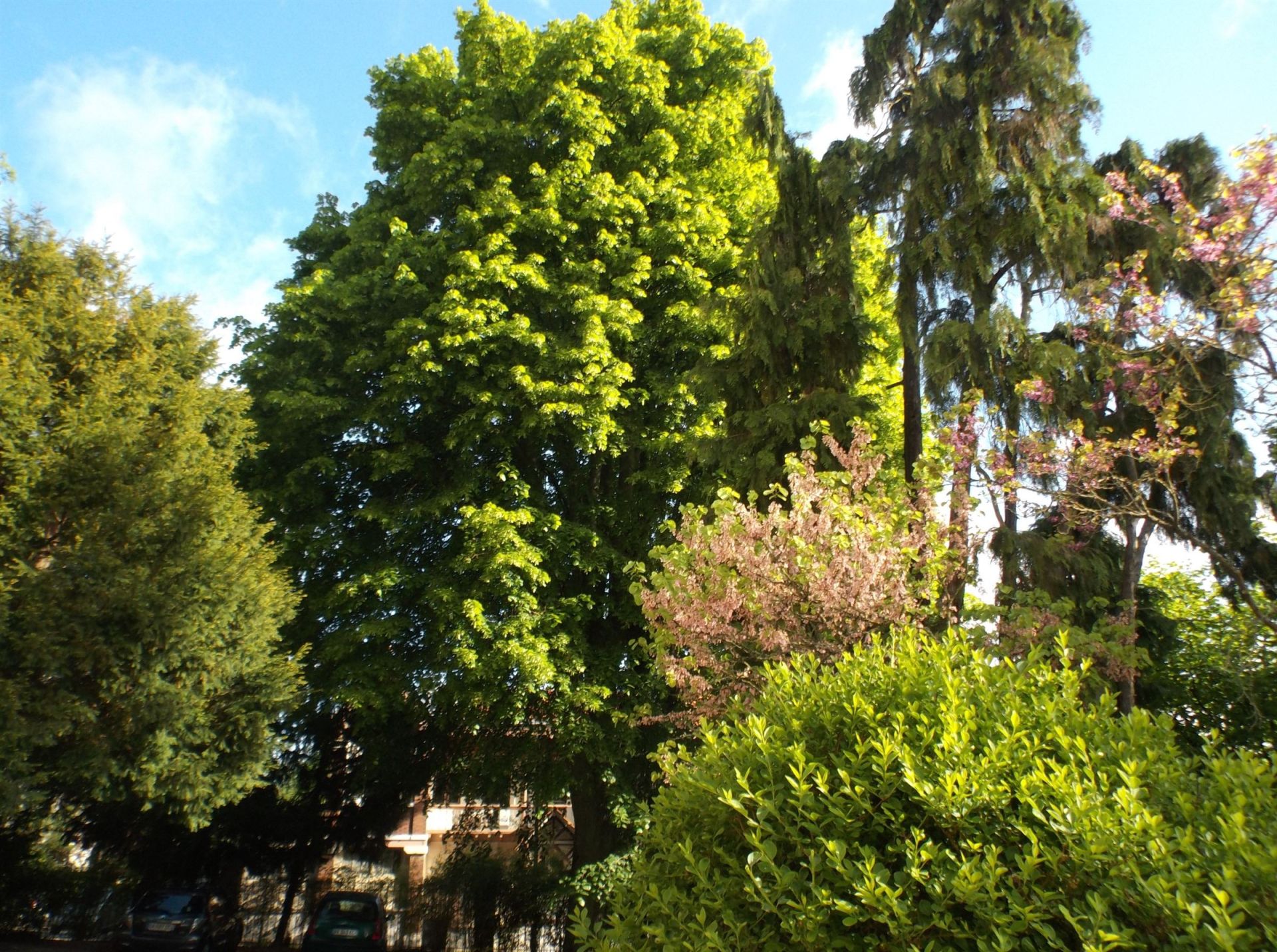 Vente Maison de maître 9&nbsp;Pièces 211&nbsp;m² Sèvres