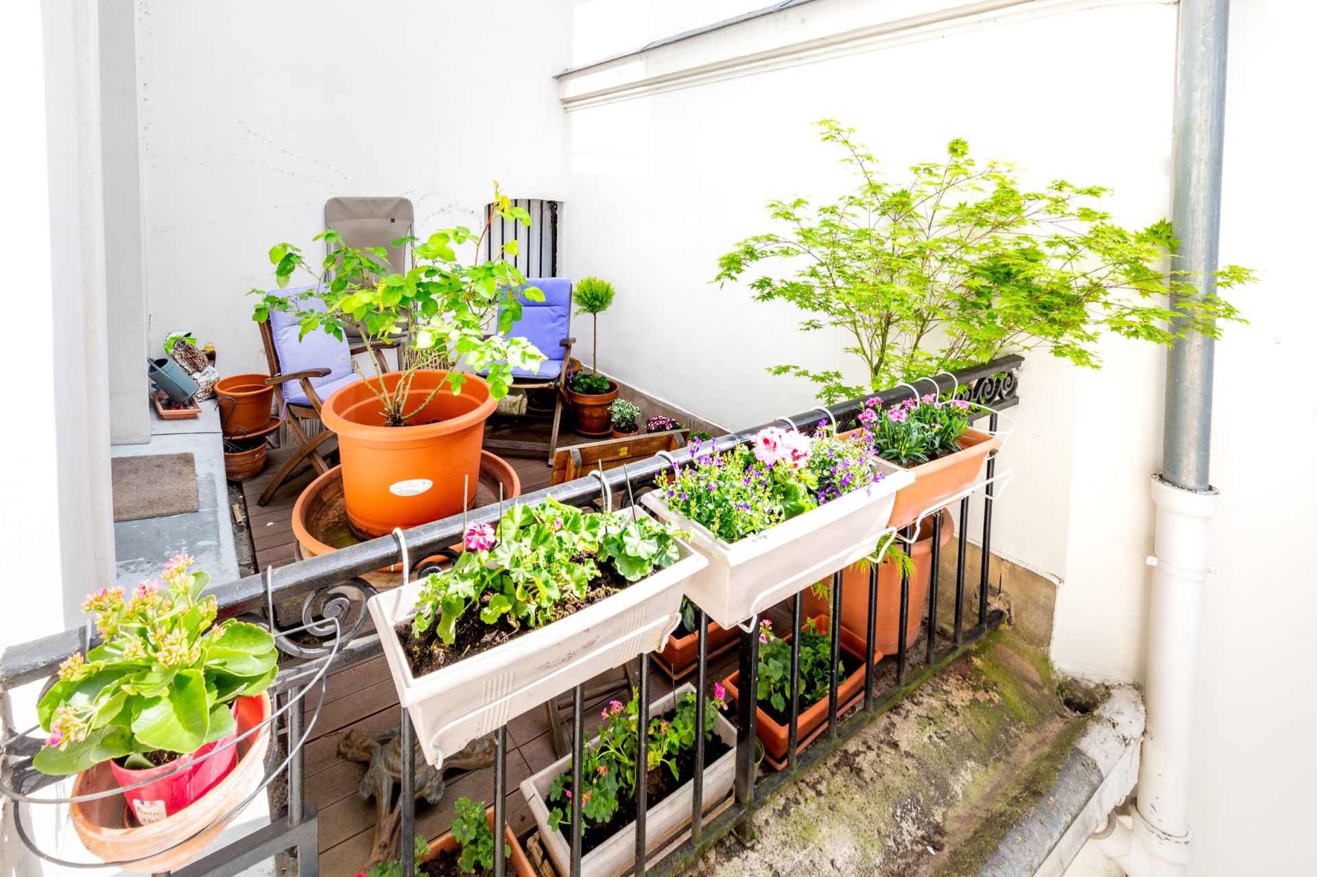 Vente Appartement 6&nbsp;Pièces 147&nbsp;m² Paris 8